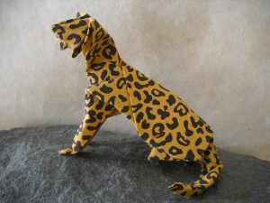 Leopard Cat