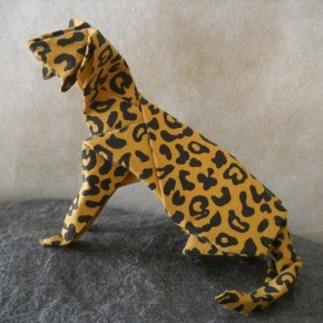 Leopard Cat