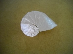 Sea Shell by Tomoko Fuse
