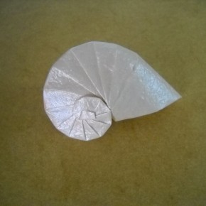 Sea Shell by Tomoko Fuse