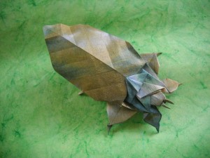 Leaf insect by Fumiaki Kawahata