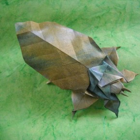 Leaf insect by Fumiaki Kawahata Leaf insect by Fumiaki Kawahata