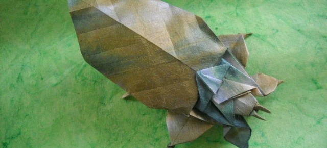Leaf insect by Fumiaki Kawahata