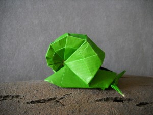 Snail by Shiri Daniel