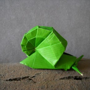 Snail by Shiri Daniel