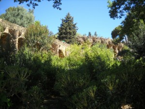 Encore plus haut, on appercevait toujours beaucoup de végétation mais aussi des grands monuments en pierres... Encore plus haut, on appercevait toujours beaucoup de végétation mais aussi des grands monuments en pierres...