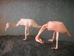 Flamingos by Pasquale d'Auria