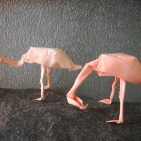 Flamingos by Pasquale d'Auria Flamingos by Pasquale d'Auria