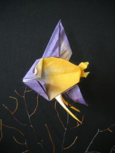 Angelfish by Robert Lang